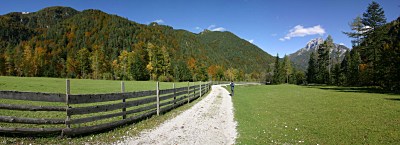http://puzz.s3.amazonaws.com/2008/10/robanov-kot-slovenia-savinja.jpg