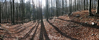 http://puzz.s3.amazonaws.com/2008/11/sneznik-001.jpg