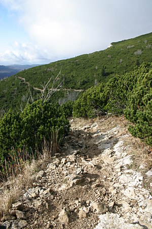 http://puzz.s3.amazonaws.com/2008/11/sneznik-002.jpg